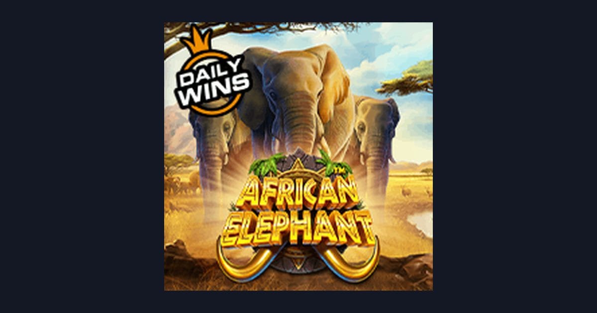 Review Jujur & Demo African Elephant: Sensasi Slot dari Pragmatic Play